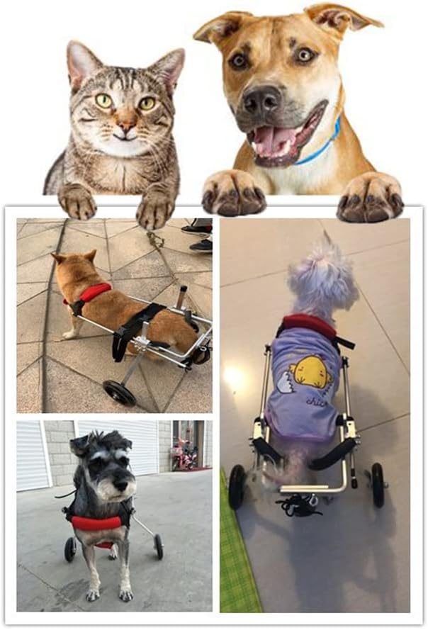 Dog Wheelchair Adjustable Dog Cart Lightweight Pet/Doggie Wheelchairs for Back Legs Assist Small Pets with Paralyzed Hind Limbs to Recover Their Mobility (S)