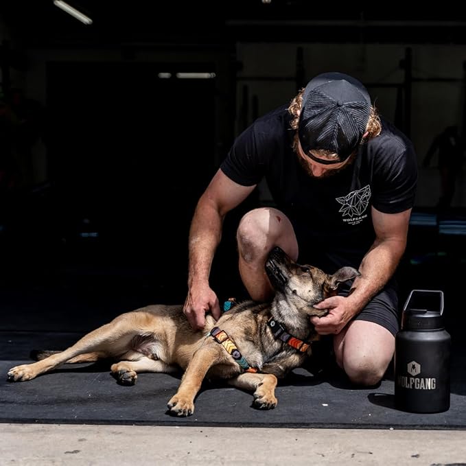 Wolfgang Heavy Duty Adjustable Dog Harness, Pull-Tested to Over 800 lbs for Walking & Training, ChevTech Print, Small