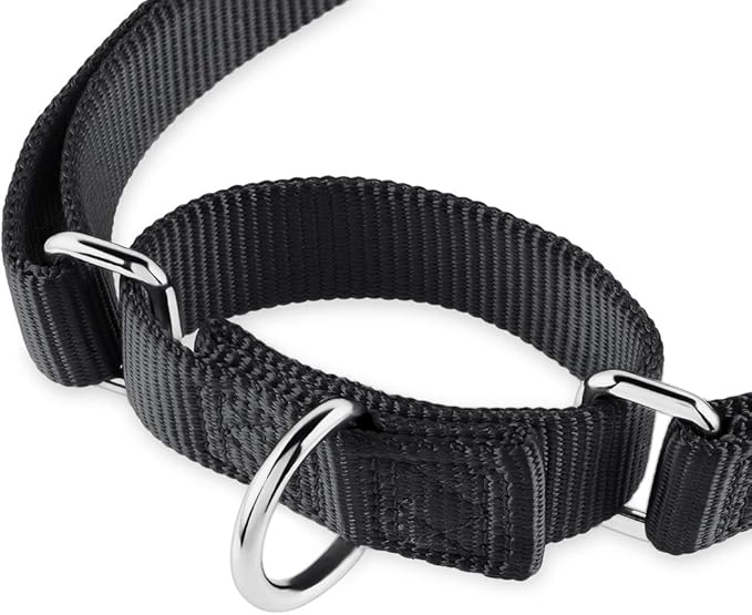 Hyhug Martingale Dog Collar Without Buckle: Anti Escape, No Slip Heavy - Duty Nylon, Colorfast & Adjustable for Medium Breeds(Medium, Black)