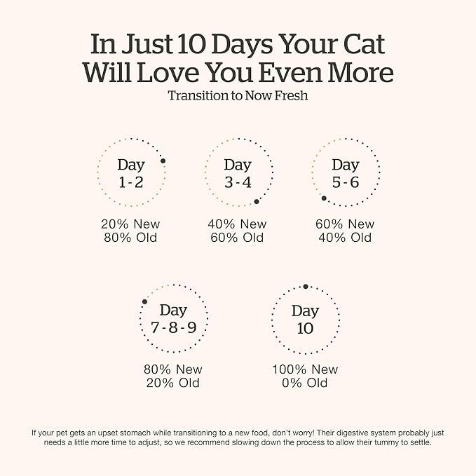 Now Fresh Grain-Free Dry Cat Food with Turkey, Salmon & Duck, Healthy Kibble for Adults Made with Real Meat & Fish, Chicken-Free, with Pumpkin & Probiotics for Sensitive Stomachs, 16 lb Bag