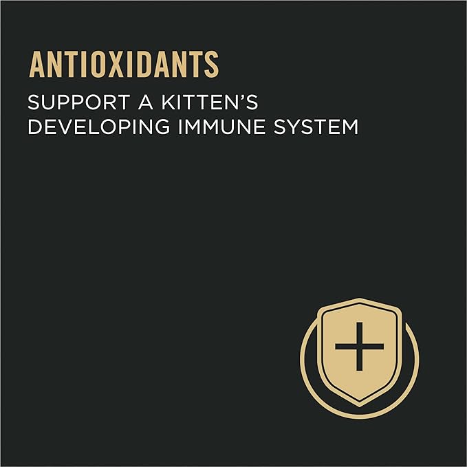 Purina Pro Plan Wet Kitten Food Pate, Salmon and Ocean Fish Entree - (Pack of 24) 3 oz. Pull-Top Cans