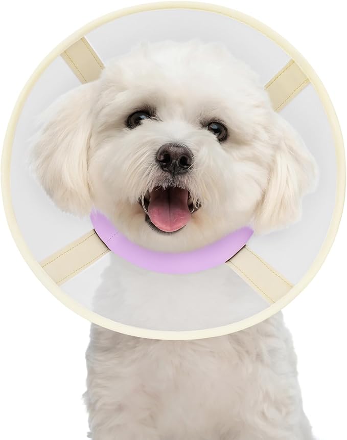 Soft Dog Cone Collar to Stop Licking-Adjustable Comfortable Mesh Recovery Collar After Surgery for Small Miniature Dogs, Alternative to Plastic Elizabethan Collar for Neuter Incision Care (Purple,L)