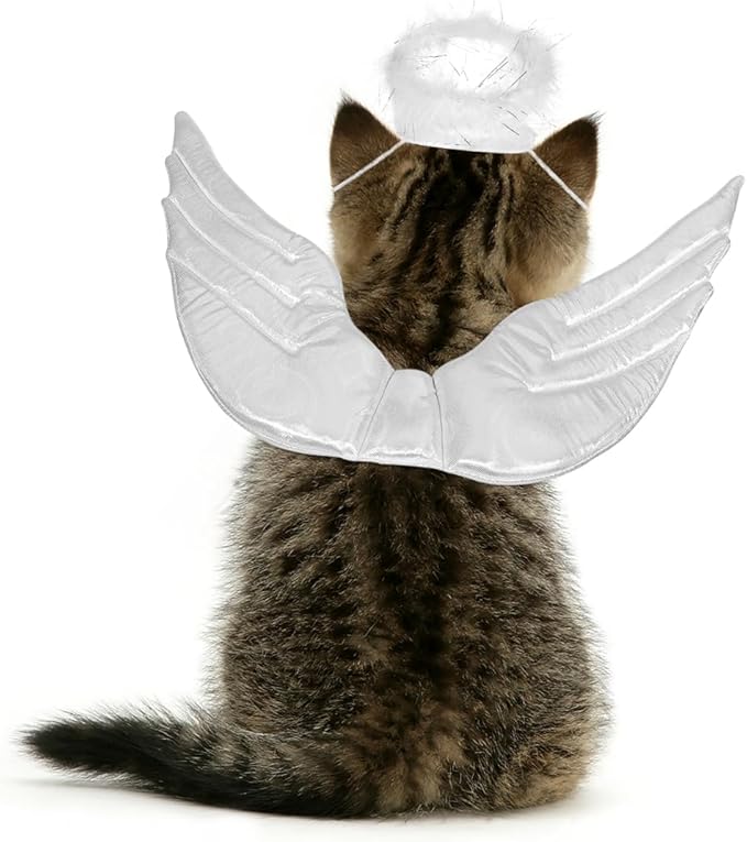 POPETPOP Pet Dog Cat Halloween Costume Angel Wings Shape Clothing - Creative Pet Cat Makeover Clothes for Halloween Festival Party Special Events - Pet Clothes Supplies - Size L (White)