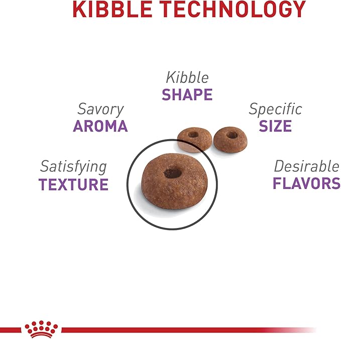 Royal Canin Feline Care Nutrition Appetite Control Care Adult Dry Cat Food, 14 lb Bag