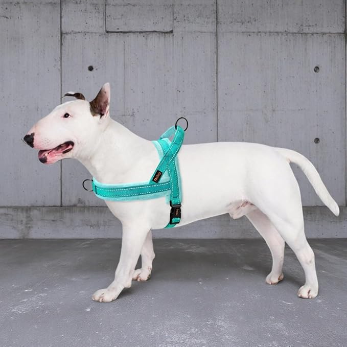 Didog Soft Flannel Padded Dog Vest Harness, No Pull/Quick Fit Reflective Dog Strap Harness, Easy for Training Walking (S:Chest 18-22", Green)