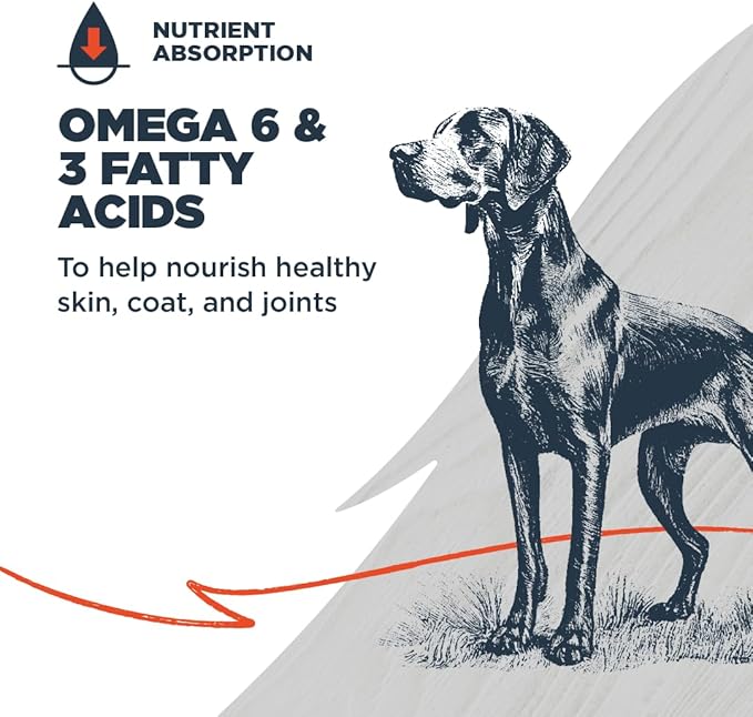 Blackwood Complete & Balanced Diet Dry Dog Food, Lamb Meal & Chicken Meal with Ancient Grains, 24 Pound Bag, Slow Cooked with Vitamins & Minerals