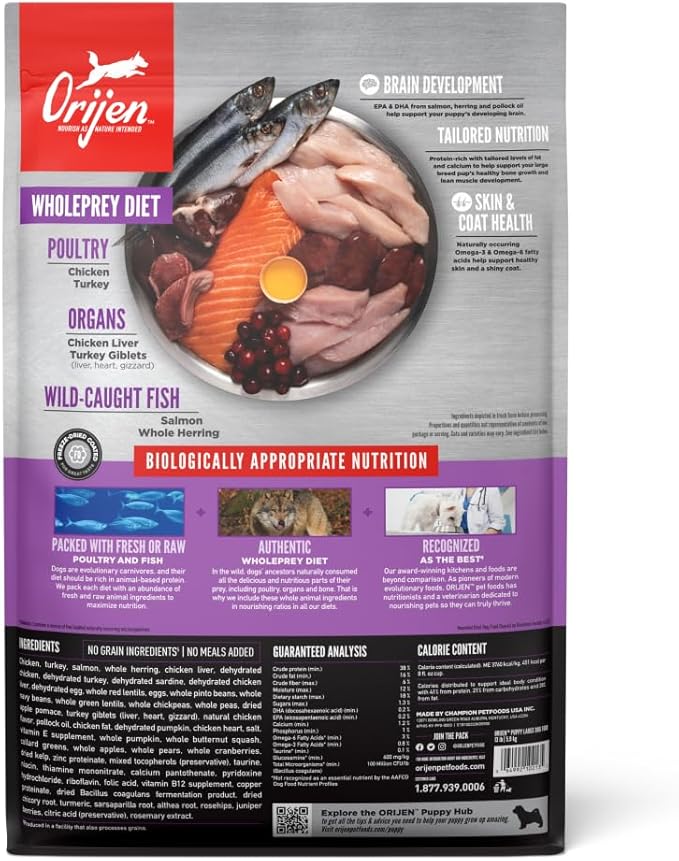 ORIJEN Grain Free High Protein Dry Dog Food Puppy Large Recipe 13lb Bag