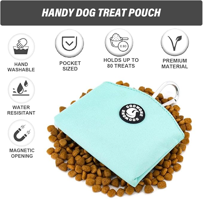 COOWONE Dog Treat Pouch Magnetic Closure Small Dog Training Treat Pouch Pocket Sized Small Dog Treat Pouch with Clip (mint green)