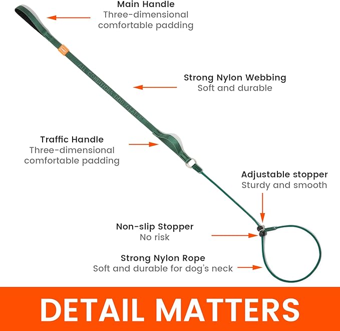 Howgo Dog Slip Lead Dog Leash, Training Lead, No-Pull Slip Leash and Collar, Heavy Duty & Durable Nylon, Padded Handle, for All Breeds (Green, 5FT)