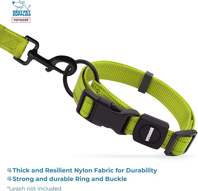 Best Pet Supplies Reflective Dog Collar with Adjustable Length, Heavy-Duty Buckle, and Strong Leash D-Ring, Training, Walking, Jogging Accessory for Small, Medium, and Large Breeds - Lime Green, L