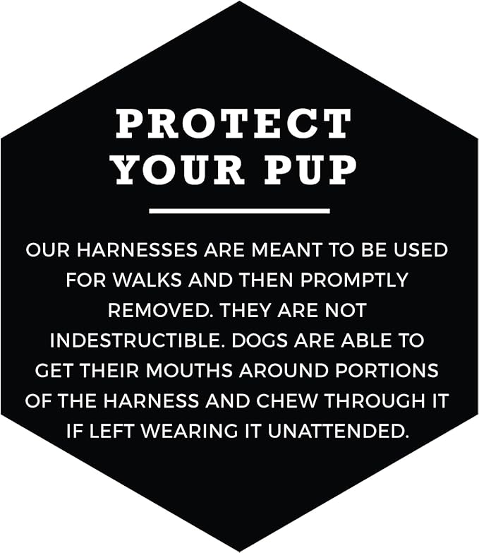 Wolfgang Heavy Duty Adjustable Dog Harness, Pull-Tested to Over 800 lbs for Walking & Training, SunsetPalms Print, Extra Large