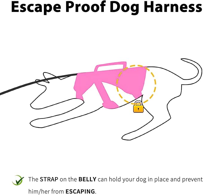 Huntboo Escape Proof Dog Harness, Escape Artist Harness, Reflective Dog Harness with Handle, Durable,Adjustable Vest for Small Medium Large Dogs Walking, Training, and Running Gear(Rose Red, S)