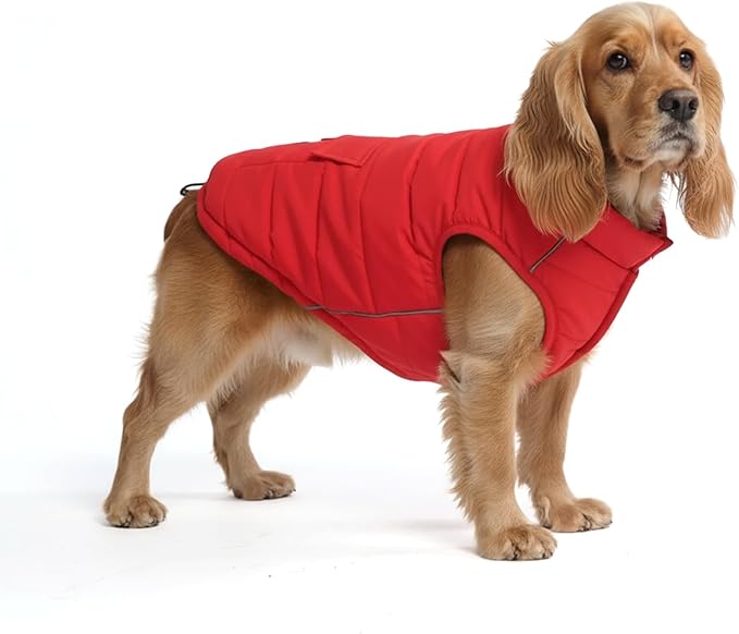 Spark Paws Dog Winter Jacket, Water-Resistant Coat, Warm Reflective Windproof Fleece-Interior, for Medium and Large Dogs - Red - L