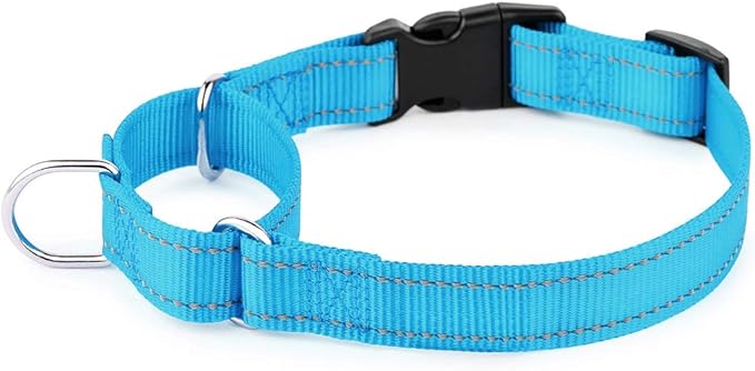 PLUTUS PET Reflective Martingale Collar with Quick Snap Buckle,No Pull Dog Choker Collar for Small Medium Large Dogs,S,Blue