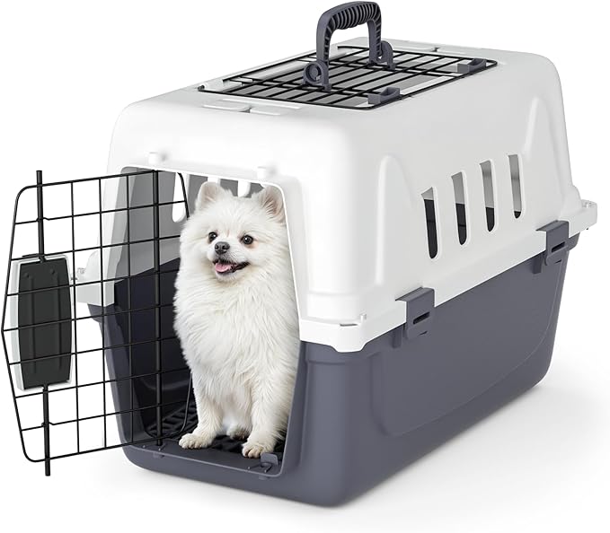 Magshion 18 Inch Pet Carrier for Small Dogs and Cats with Top and Front Door Access, Plastic Dog Kennel for Longer Traveling, Durable Handle, and 4 Sides Ventilation for Pet Up 10 lbs (White+Grey)