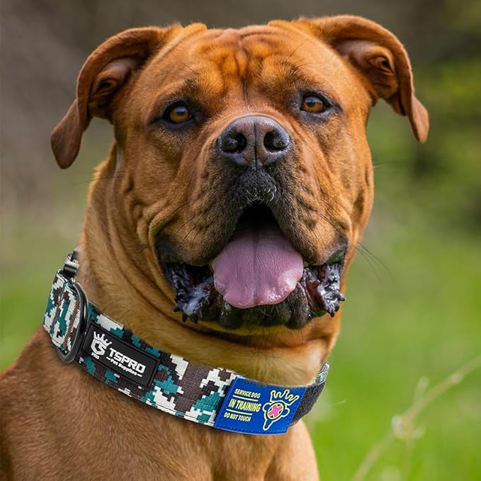 TSPRO Premium Dog Collars Tactical Dog Collar with Patch and Heavy Duty Quick-Release Metal Buckle Durable Thick and Adjustable for Medium to Large Dogs (Camo Cyan M)