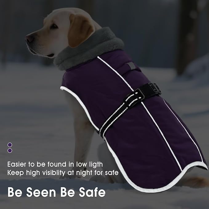 Warm Waterproof Dog Coat,Size M Dogs Jacket Pet Winter Coat for Cold Weather with Thicken Furry Collar,Reflective Puppy Winter Jacket Warm Fleece Lining for Medium Dogs,Purple,M