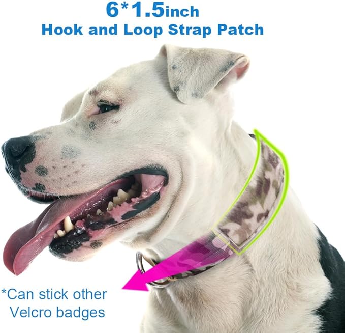 TSPRO Tactical Dog Collar, Adjustable, with Patch & Double Needle Metal Buckle, Heavy Duty for Large to Extra Large Dogs, Durable for Walking, Running, Hiking & Training (Camo Cyan L-XL)