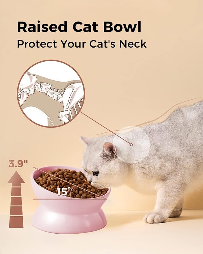 LoeJan Elevated Cat Food Bowl, 5 Oz Ceramic Raised and Tilted Water Bowl, Anti Vomiting and Protect Pets' Spines Dishes for Small Dog, Fat Faced Cat, Kitten (Pink, 2 Pack)