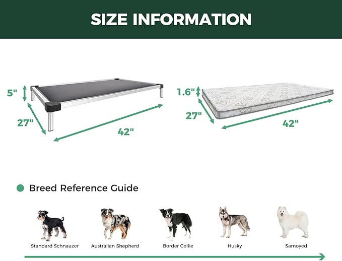 FXW TitanNest Chew-Proof Elevated Dog Bed, Raised Cot for Indoor/Outdoor/Camping Use, Durable & Washable Padded Pet Bed with Exclusive Cover for Medium Dogs, 42.0" L x 27.0" W x 5.0" H, Gray