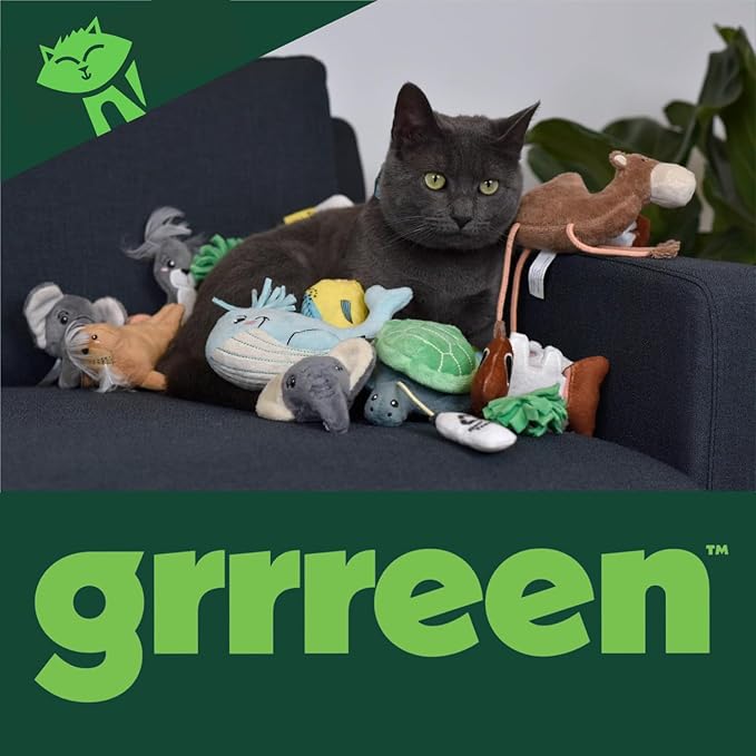 Cat Toys | Plush Toy Turtle Teaser Cat Toys for Indoor Cats | Eco Friendly Toy Made from Non Toxic Materials