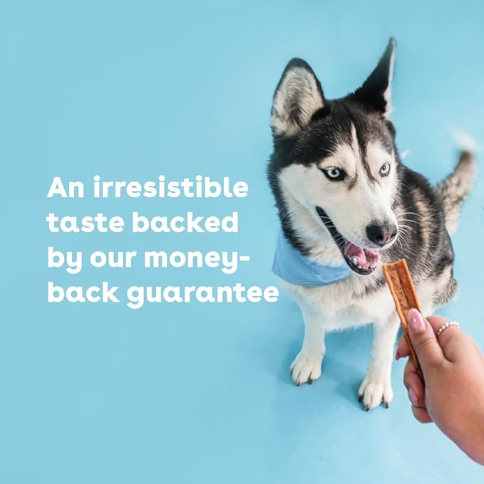 Pupford Chicken Jerky for Dogs & Puppies, All-Natural, Healthy Dog Treats, No Fillers, Made in USA (10 oz)