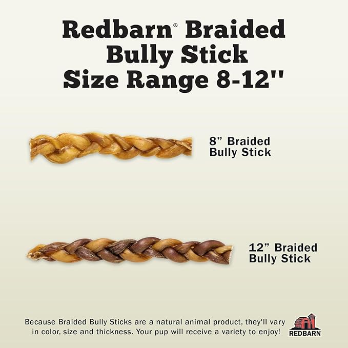 Redbarn Pet Products All Natural 8-12" Braided Bully Sticks for Medium & Large Dogs - Healthy Long Lasting Beef Chews Variety Party Pack - Single Ingredient Low Odor Rawhide Free - 1 lb Bag