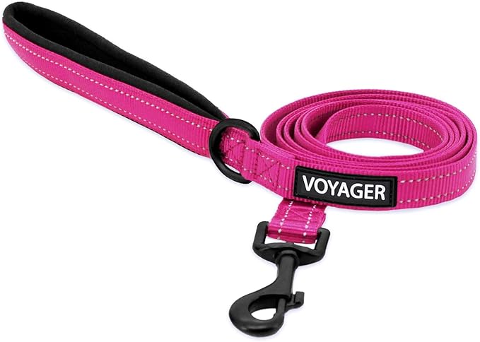 Voyager Reflective Dog Leash with Neoprene Handle, 5ft Long, Supports Small, Medium, and Large Breed Puppies, Cute and Heavy Duty for Walking, Running, and Training - Fuchsia (Leash), M