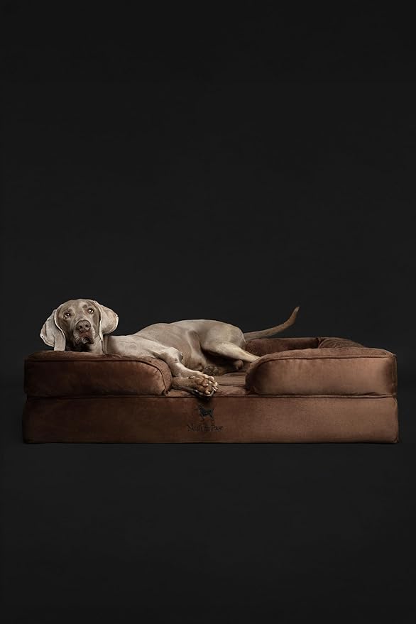 NOAH & PAW XL Dog Bed, 45x35x11 Inch, Orthopedic Large Dog Beds, Eggshell Memory Foam Infused with Cooling Gel, Inner Cover, Waterproof, Machine Washable (Velvet Sofa Collection)