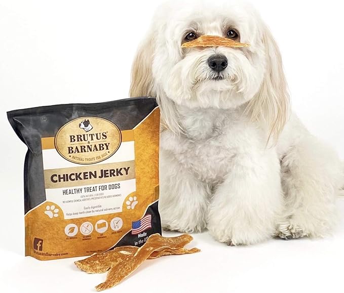 BRUTUS & BARNABY Chicken Jerky Dog Treats- Dehydrated Crunchy USA Premium Fillets, Grain-Free, Preservative-Free, No Fillers. All Natural Chicken Strips are Great for Dogs and Cats (10oz)