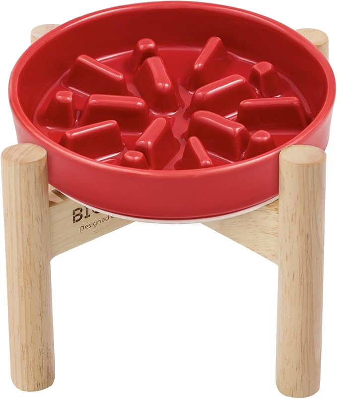 Ceramic Maze Dog Slow Feeder with Non-Slip Silicone Rim (& Bamboo Stand) – Heavy-Duty Stoneware Bowl with Puzzle Pattern for Bloating & Obesity Prevention (Raised-Red-S)