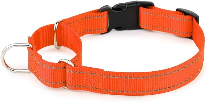 PLUTUS PET Reflective Martingale Collar with Quick Snap Buckle,No Pull Dog Choker Collar for Small Medium Large Dogs,S,Orange