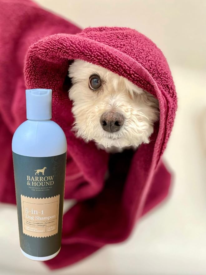 Barrow & Hound 5-in-1 Dog Shampoo & Conditioner – Natural, Tear-Free, Hypoallergenic Formula for Itchy & Smelly Dogs | Oatmeal, Aloe & Coconut | Safe for Puppies & All Breeds | Made in USA