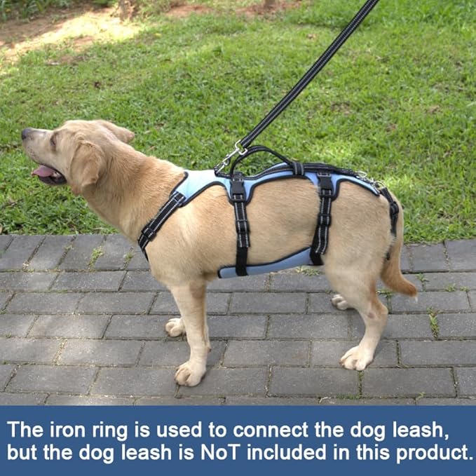 Coodeo Dog Lift Harness, Support & Recovery Sling, Pet Rehabilitation Lifts Vest Adjustable Breathable Straps for Old, Disabled, Joint Injuries, Arthritis, Paralysis Dogs Walk (Blue,M)