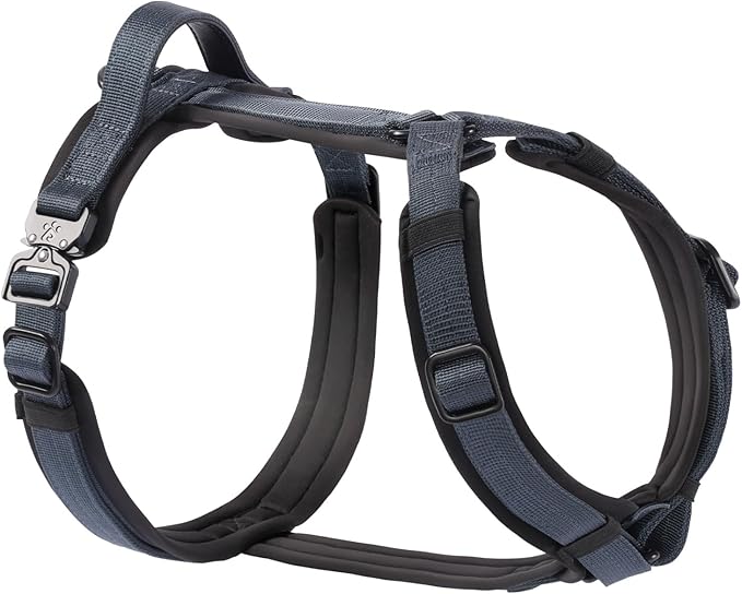 PawsPassion Dog Harness for X-Large Dogs, No Pull Dog Harness Easy Walk with Metal Hardware, Ergonomic Y-Shaped Design, Soft Padding, Padded Handle, Durable High-Tensile Nylon (Nightfall, XL)
