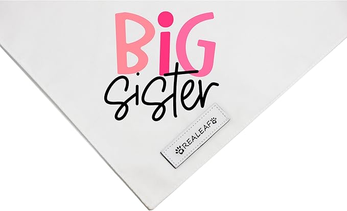Realeaf Big Brother Big Sister Dog Bandanas Pet Scarf for Medium and Large Dogs New Baby Announcement Pet Accessories Pregnancy Reveal Ideas (X-Large)
