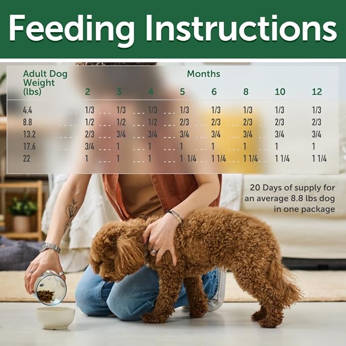 Nature's Protection Grain Free Dry Puppy Food for Small Breed - High Protein & Tear Stain Formula - Small Dog Food Kibble for Red Fur Puppies (Superior Care - Salmon, 3.3 lb)