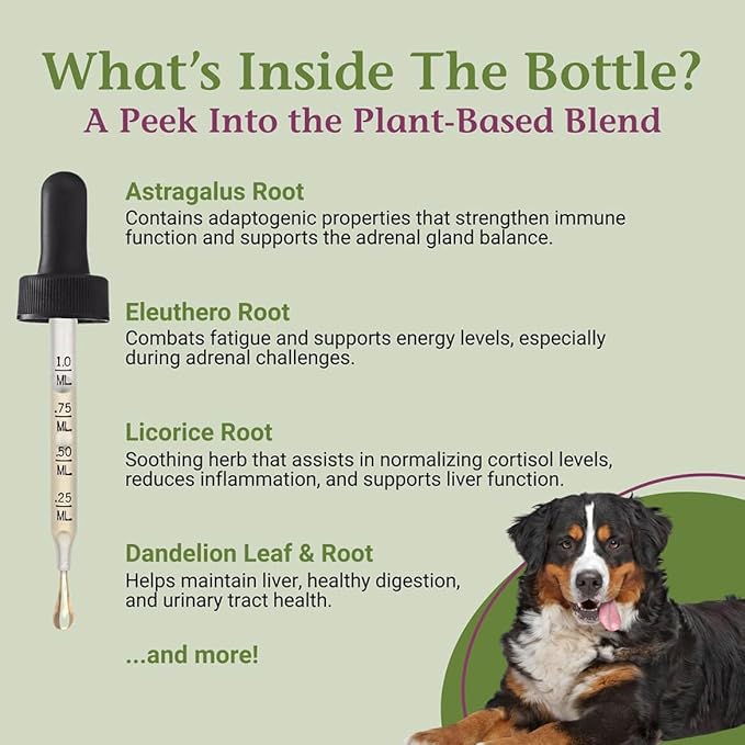 PetAlive Cushex Drops-S, Adrenal Gland Balance Herbal Pet Supplement, 2fl oz., 59ML
