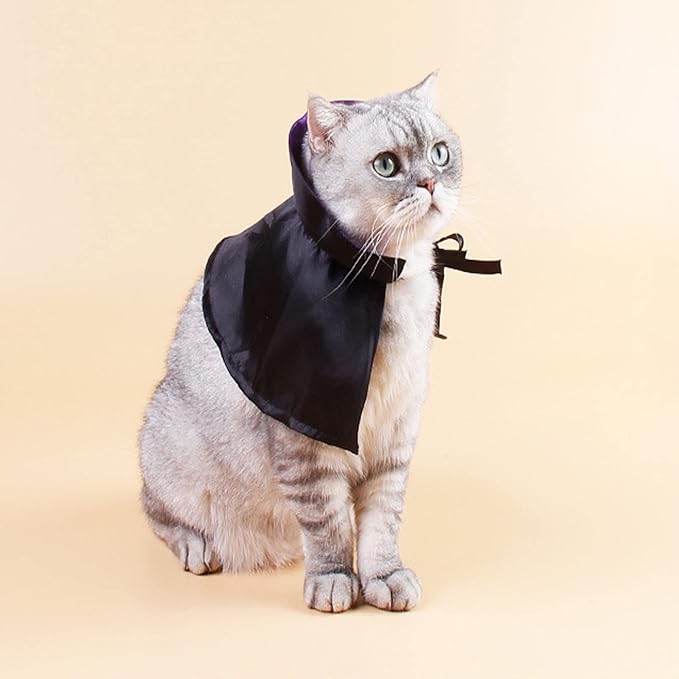 Halloween Pet Cloak Witch Hat Witch Cloak Costume for Small Dogs and Cats Halloween Clothes (L)