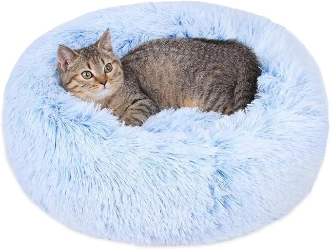 Cat Beds for Indoor Cats - Cat Bed Washable 24 inches, Dog Beds for Small Medium Dogs, Anti Anxiety Round Fluffy Plush Faux Fur Cat Bed, Thick Bottom (Cornflower Blue, Large 24" L x 24" W)