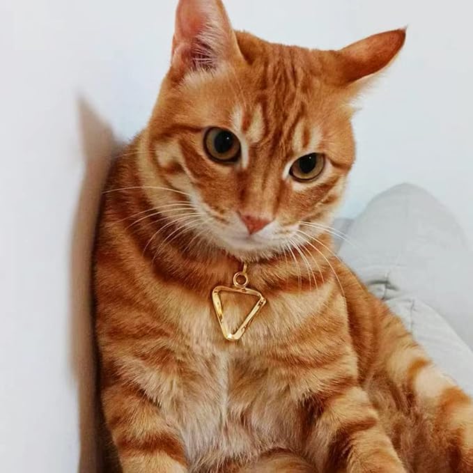 Dogs ID Tags Personalized Double Sided Deep Engraved Cat & Dog Collar Charm Triangle Shape Brass