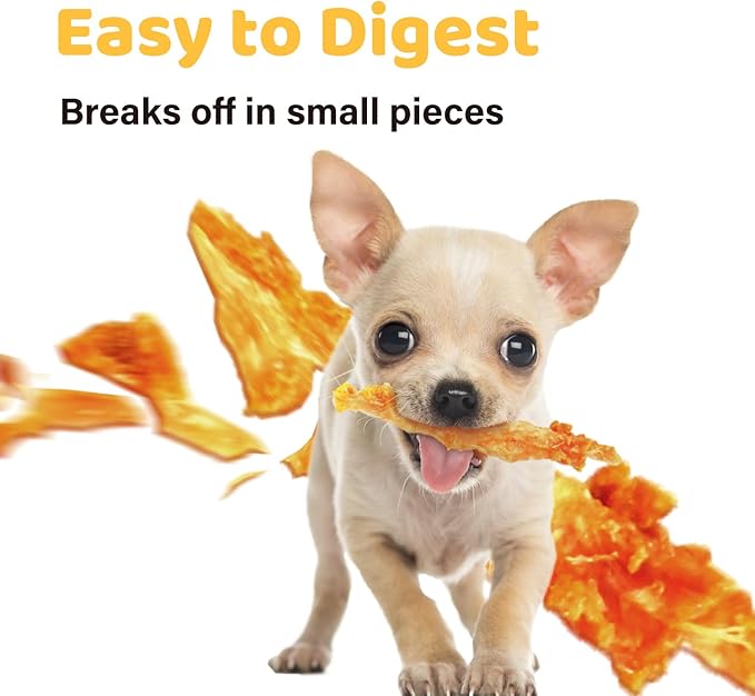 iPaw Turkey Tendon for Dogs 10 Pcs Value Pack, Ingredient Sourced from USA, Hypoallergenic, All Natural Human Grade Puppy Chew, Dog Treats for Signature Series, Rawhide Alternative, Bone (Small)