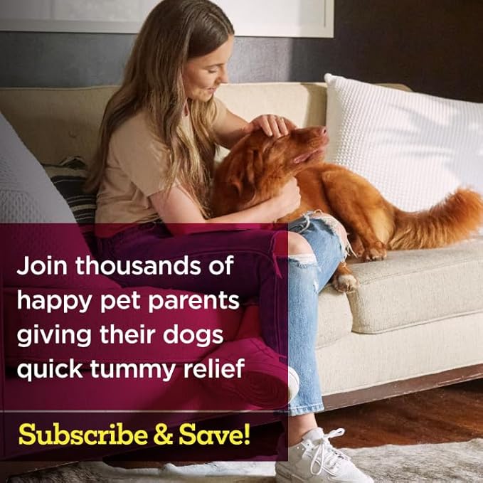 Vetality Stop The Runs | Dog Anti Diarrhea Medicine | 6 Count Chewable | Chicken Flavor