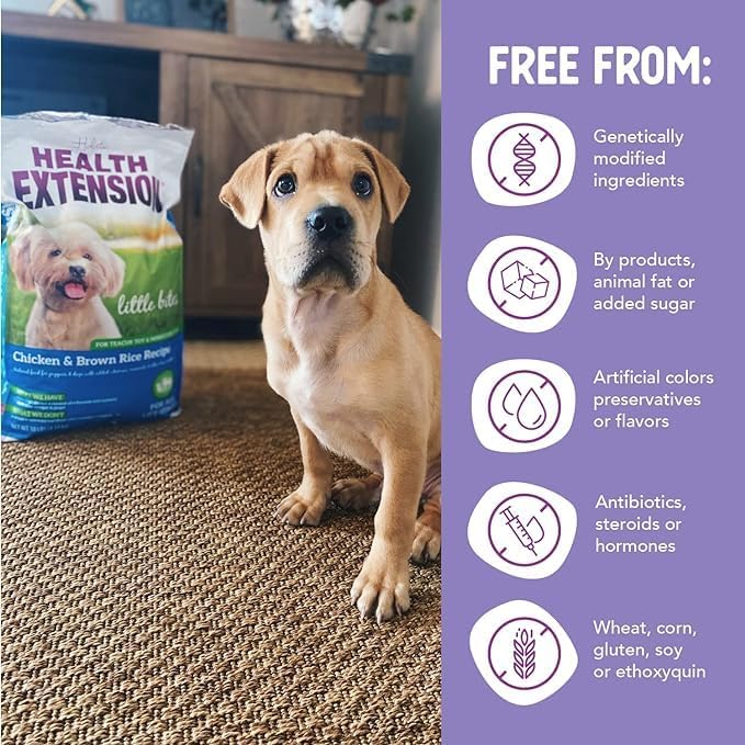 Health Extension Little Bites Dry Dog Food for Small Breeds, Chicken & Brown Rice Recipe, with Probiotics & Superfoods for Digestion & Coat Health, 4 lb Bag (Pack of 2)
