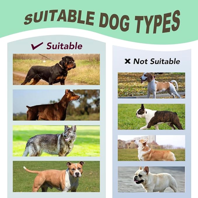 TSPRO Premium Heavy Duty Dog Harness, Adjustable Tactical Dog Harness for Large Dogs with Quick-Release Buckle and Comfortable Soft Handle for Outdoor Walking and Running (Purple L)