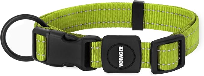 Best Pet Supplies Reflective Dog Collar with Adjustable Length, Heavy-Duty Buckle, and Strong Leash D-Ring, Training, Walking, Jogging Accessory for Small, Medium, and Large Breeds - Lime Green, M