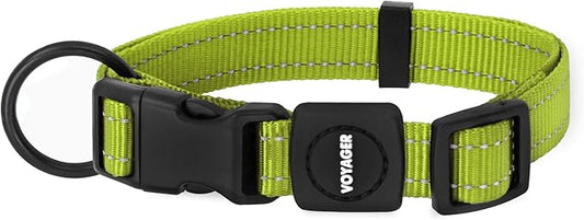 Best Pet Supplies Reflective Dog Collar with Adjustable Length, Heavy-Duty Buckle, and Strong Leash D-Ring, Training, Walking, Jogging Accessory for Small, Medium, and Large Breeds - Lime Green, L