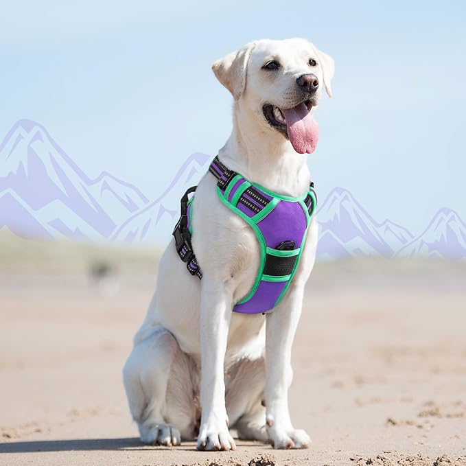 Eagloo Dog Harness for Large Dogs, No Pull Service Vest with Reflective Strips and Control Handle, Adjustable and Comfortable for Walking, No Choke Pet Harness with 2 Metal Rings, Purple & Green, L