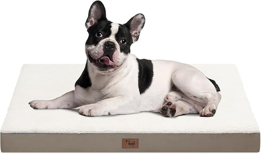 Orthopedic Dog Bed for Medium Dogs - Waterproof & Machine Washable with Egg Crate Foam, Removable Deluxe Plush Cover, 30x20 Inch, Khaki White