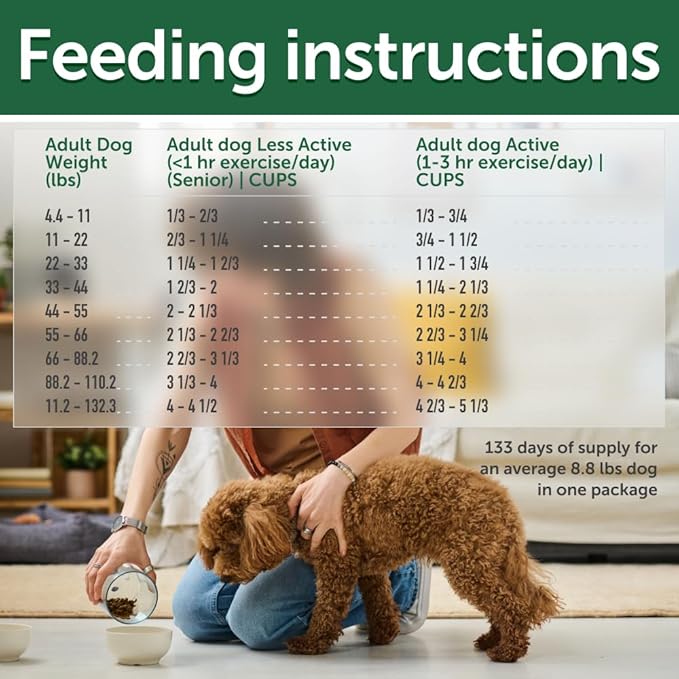 Nature's Protection Superior Care Grain-Free Dry Dog Food - High Protein, Coat Shine Dog Food for All Breeds Red Coated All Life Stages Dogs, Fresh Pet Meal, Salmon, 22 lb